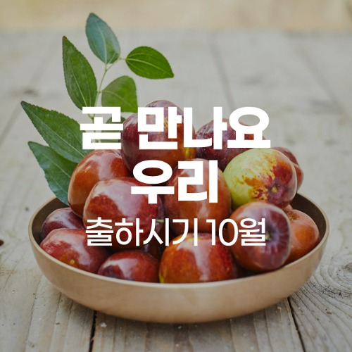 천황사과왕대추 (500g*4, 2kg)