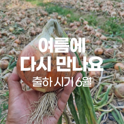 [소소한농장] 양파 15kg